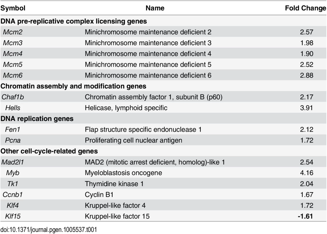 Dysregulation of genes associated with cell cycle and DNA replication whose transcripts are up-regulated by <i>Arid1a</i> ablation.