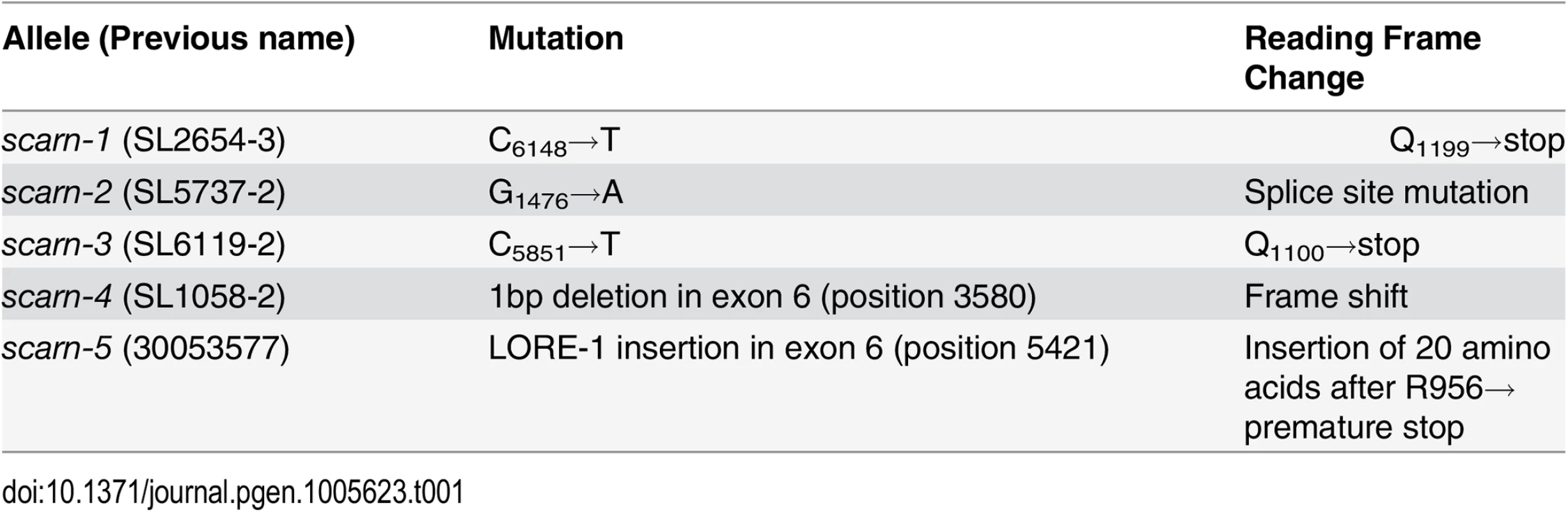 <i>L</i>. <i>japonicus scarn</i> mutant alleles.