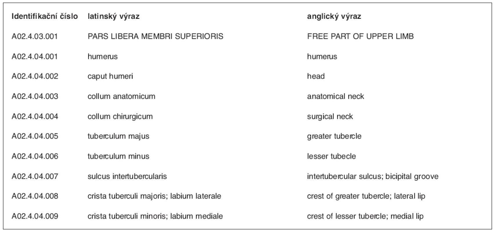 Příklad uvedení anatomického termínu v Terminologia Anatomica
