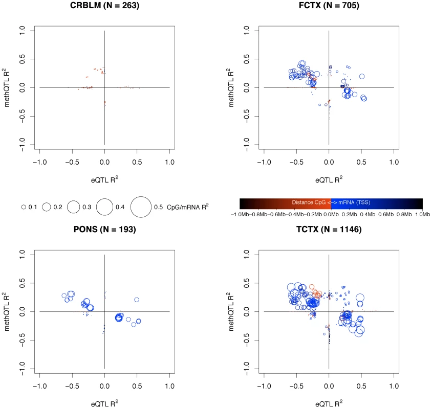 Intersection of QTLs for CpG and mRNA traits.