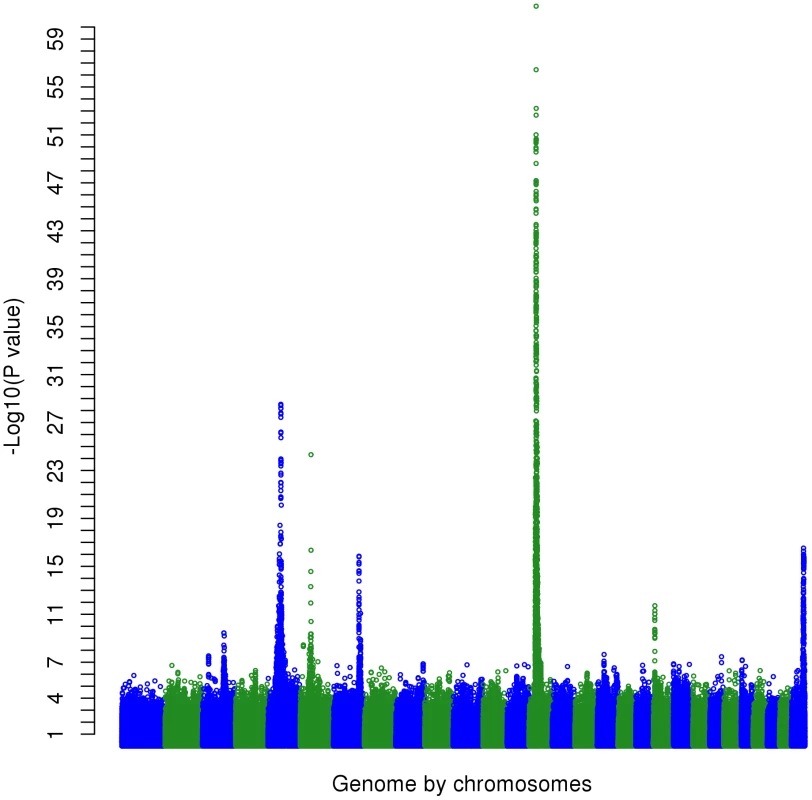 The Manhattan plot showing the −log<sub>10</sub>(<i>P</i>-values) of SNPs of the multi-trait test of the whole genome except the X chromosome.
