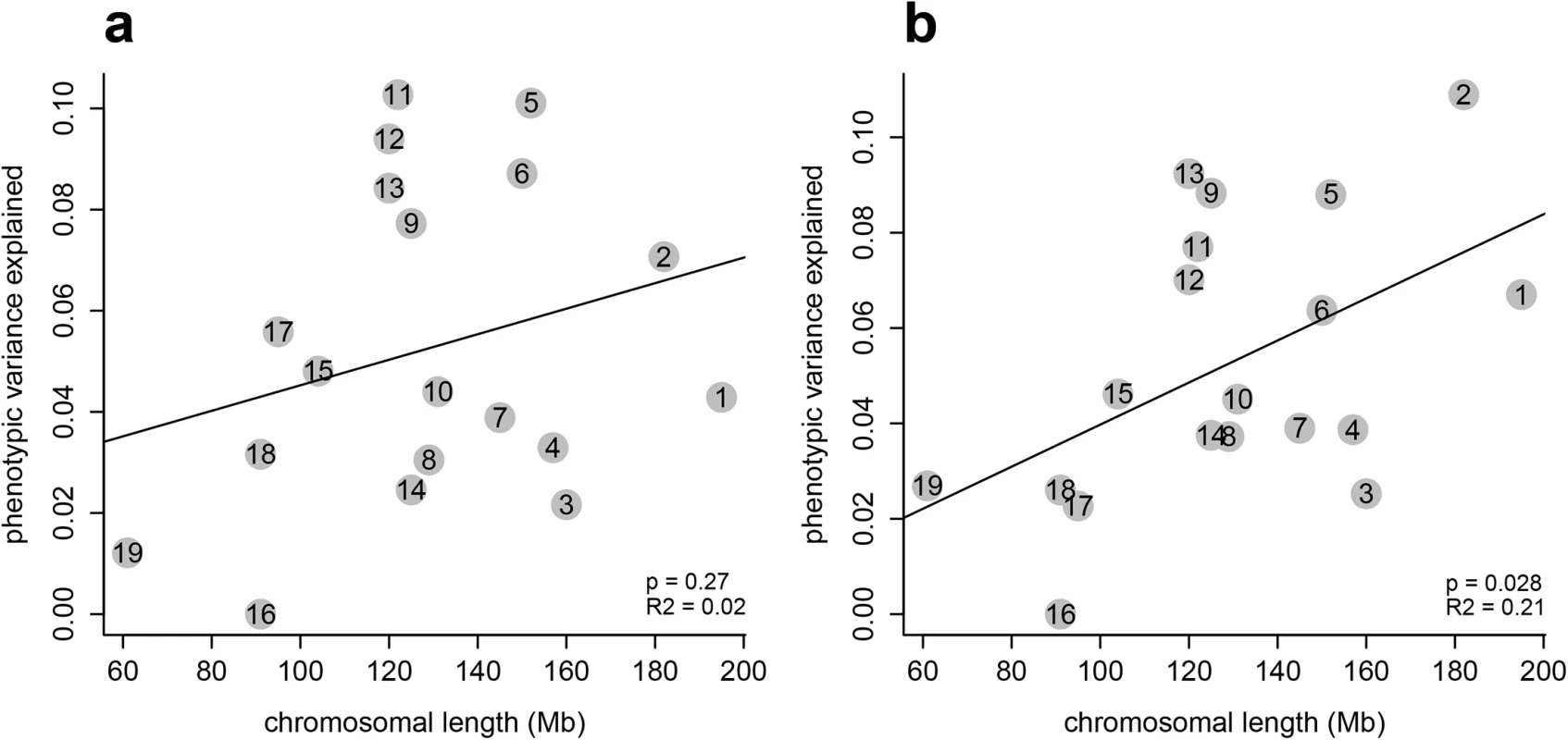 Chromosomal partition of the variance.