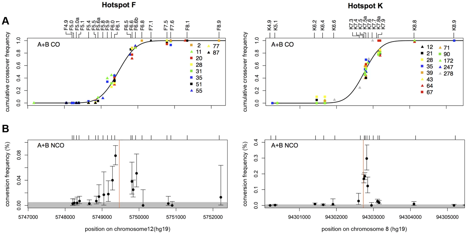 CO and NCO distributions at recombination hotspots F and K.