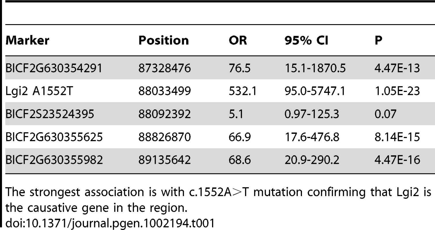 Four highly-associated SNPs spread across the linked 1.7 Mb homozygosity region, together with the c.1552A>T mutation, were genotyped and tested for association from 28 BFJE cases and 112 healthy controls.