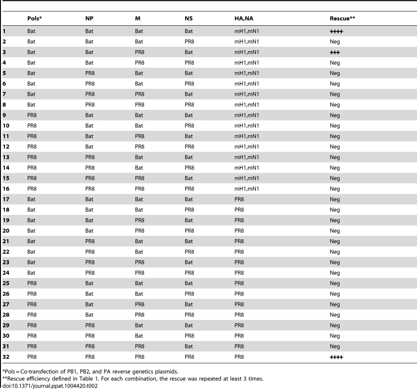 Rescue efficiency of internal gene reassortants between Bat09:mH1mN1 and PR8.