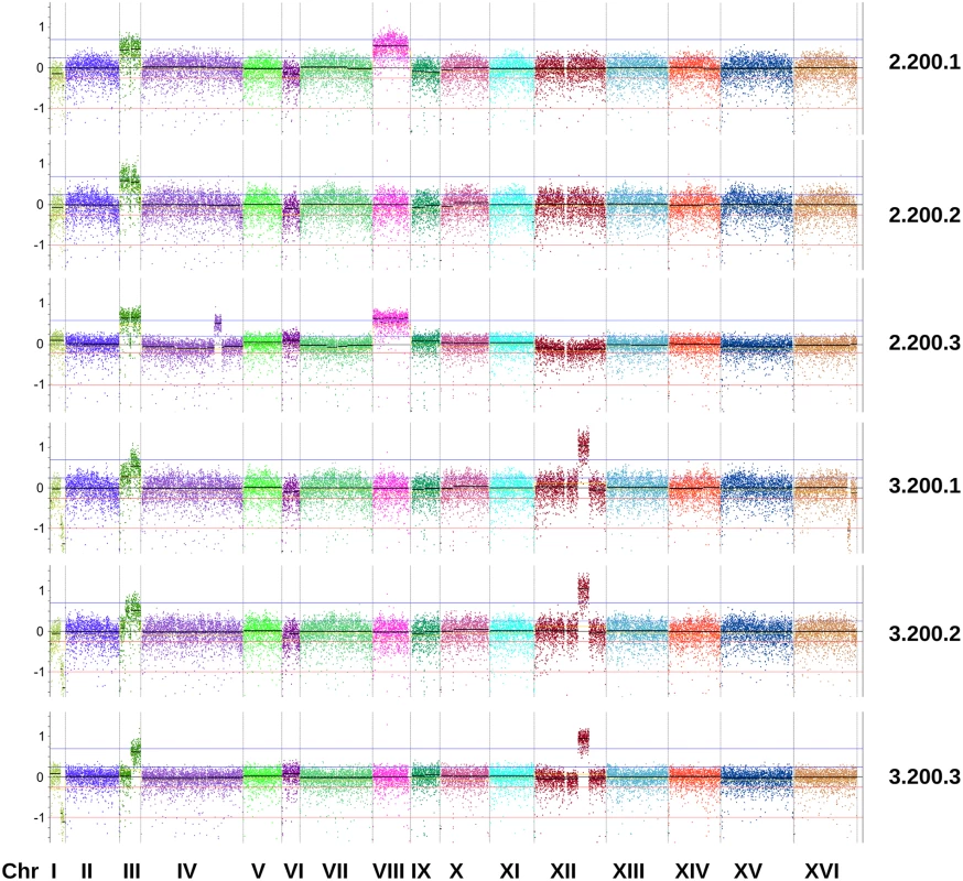 Copy number variation in evolved clones of reactor 2 and 3 isolated at 200 generations.