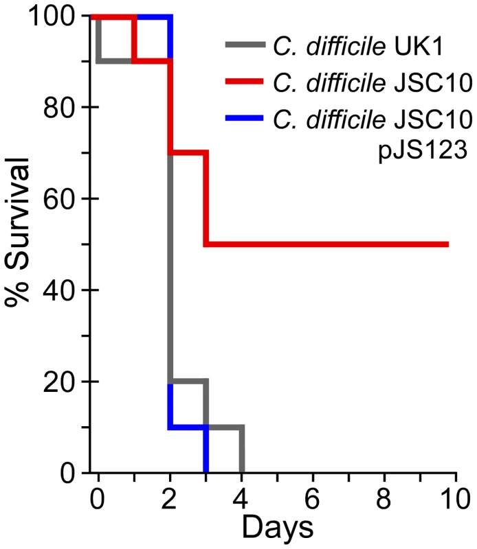 Bile acid-mediated germination is required for virulence.