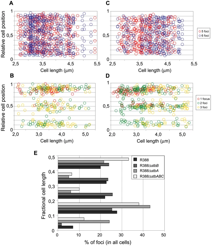 Subcellular distribution of GFP-tagged R388 derivatives in live <i>E. coli</i> cells.