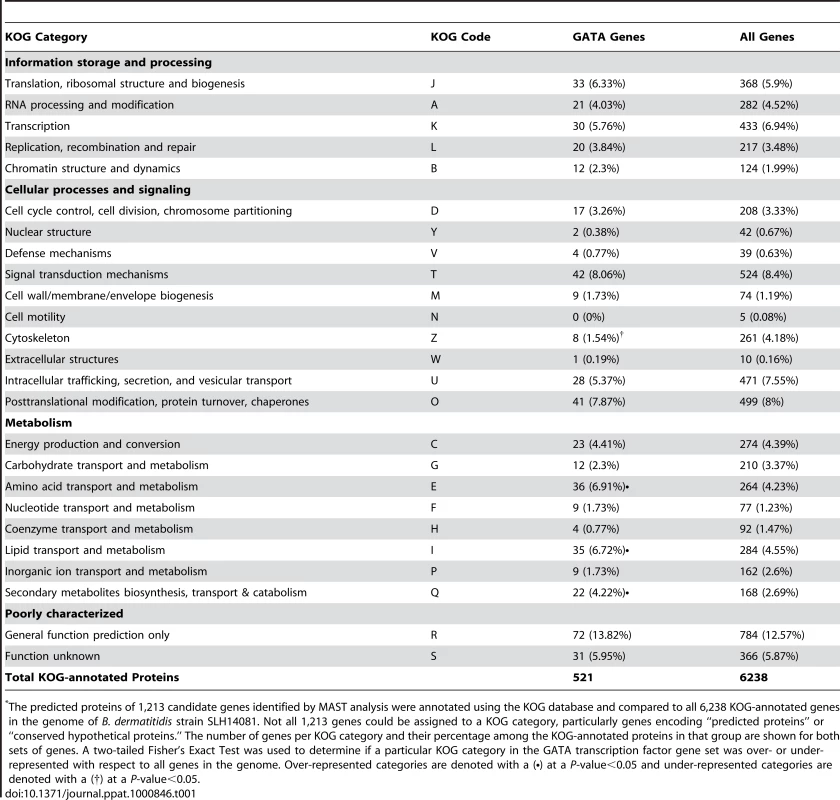 Enrichment of GATA-containing genes in <i>B. dermatitidis</i> according to KOG category<em class="ref">*</em>.