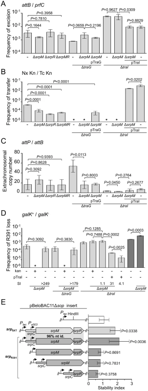 Effect of the SrpMRC active partition system on R391 dynamics.