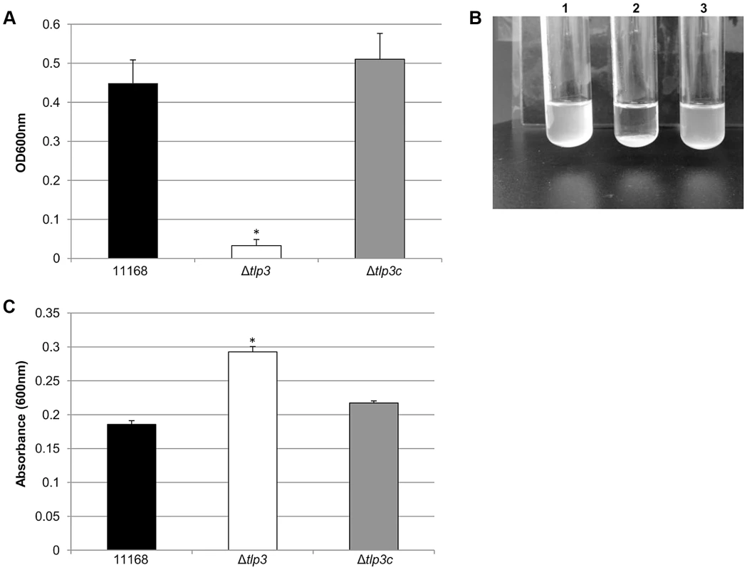 Δ<i>tlp3</i> displays altered autoagglutination and biofilm formation.