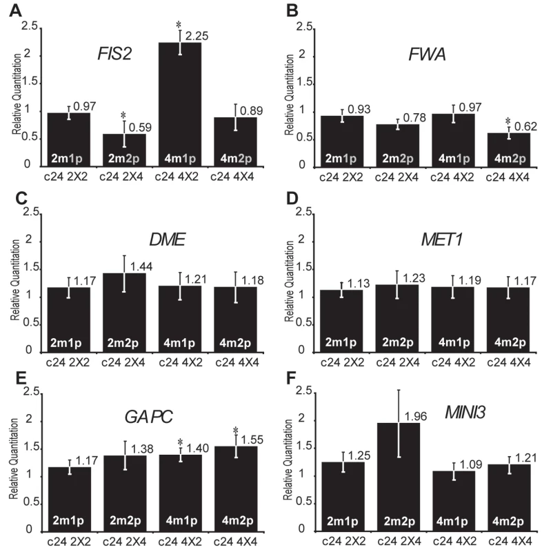 Effects of interploid crosses on the expression of DNA methylation-dependent imprinted genes.