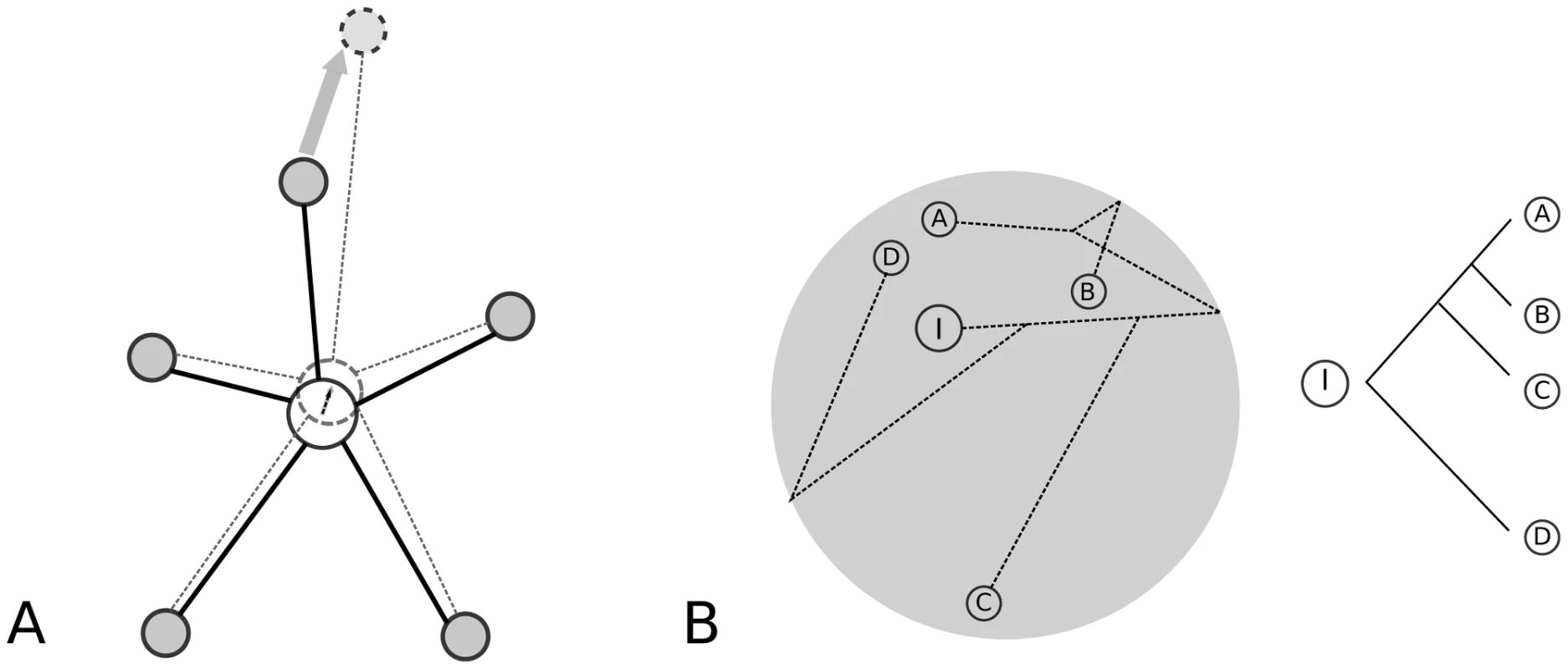 Models of CRM evolution with changes in fitness optimum.
