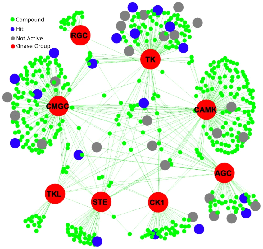 Drugs from DrugBank and their interaction with the different kinase groups.