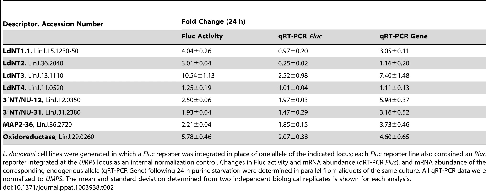 An assessment of the role of 5′ and 3′ UTRs from select purine-responsive candidates on mRNA abundance and translational regulation.