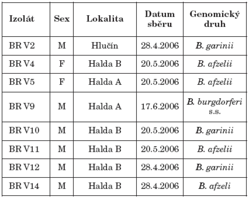 Přehled kmenů borrelií izolovaných z klíšťat Ixodes ricinus na Ostravsku
Table 4. Borrelial strains isolated from Ixodes ricinus ticks at three sites of the Ostrava area