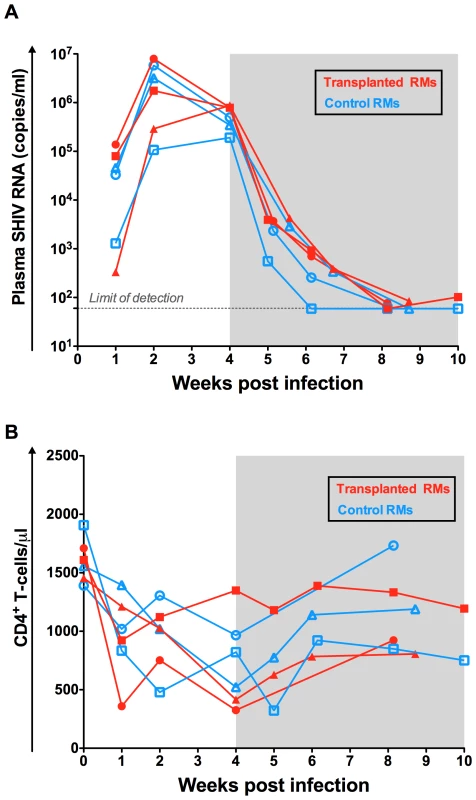 Virologic and immunologic characteristics pre-transplant.