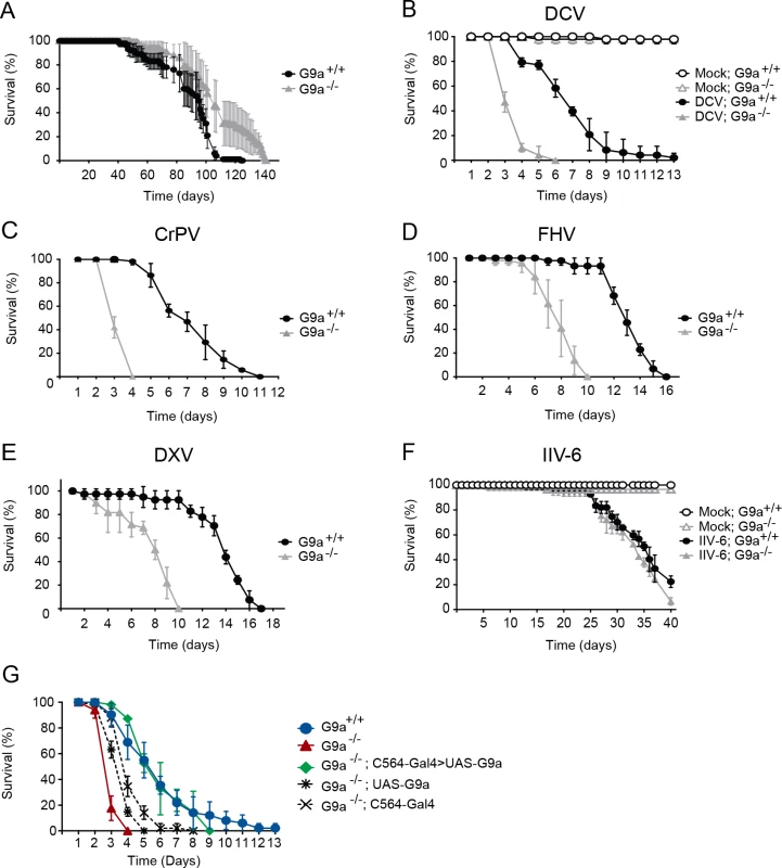<i>G9a</i> mutants have a normal life span but are hypersensitive to RNA virus infection.