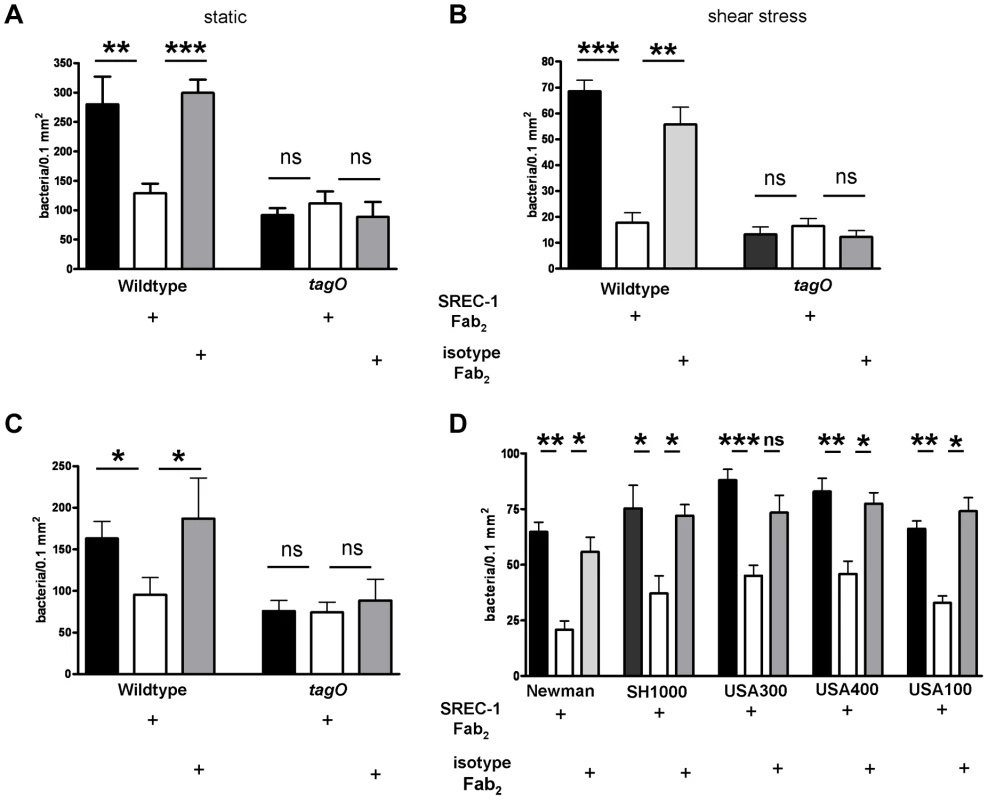 Impact of SREC-I on adhesion of <i>S. aureus</i> to HNECs.
