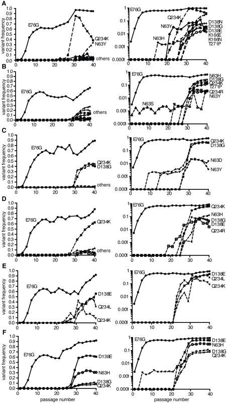 Population sequencing reveals multi-step adaptation of residues in the DAF-specific footprint during passage in A549 cells.