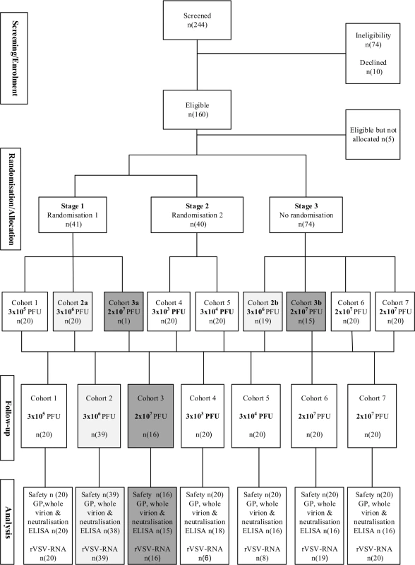 Participant flow diagram.