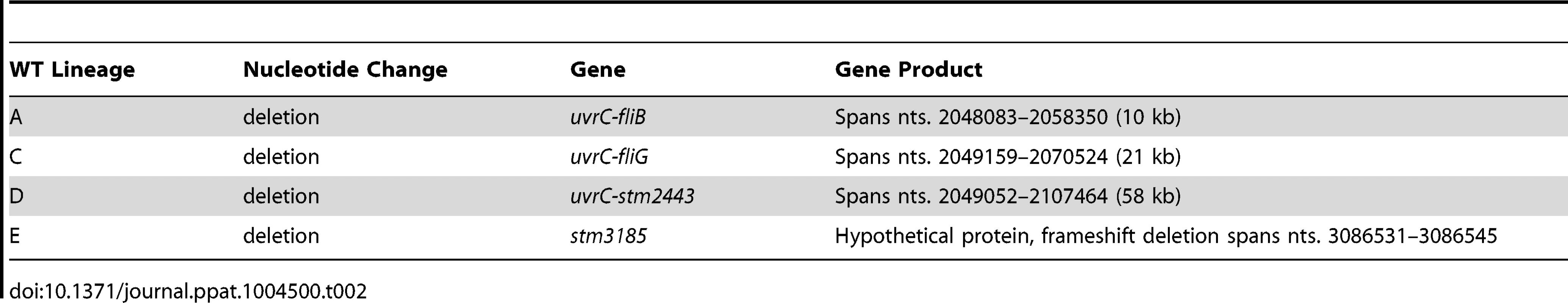 Summary of the genetic changes specific to the wild-type lineages.