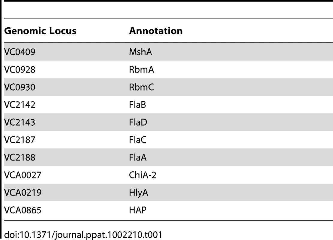 Secreted proteins identified in preparations of biofilm matrix.