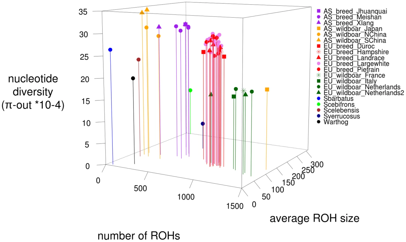 Three-point ROH statistics for all 52 sequenced individuals.