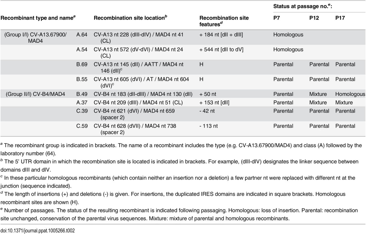 Stability of selected CV-A13.67900/MAD4 and CV-B4/MAD4 recombinants upon serial passaging.