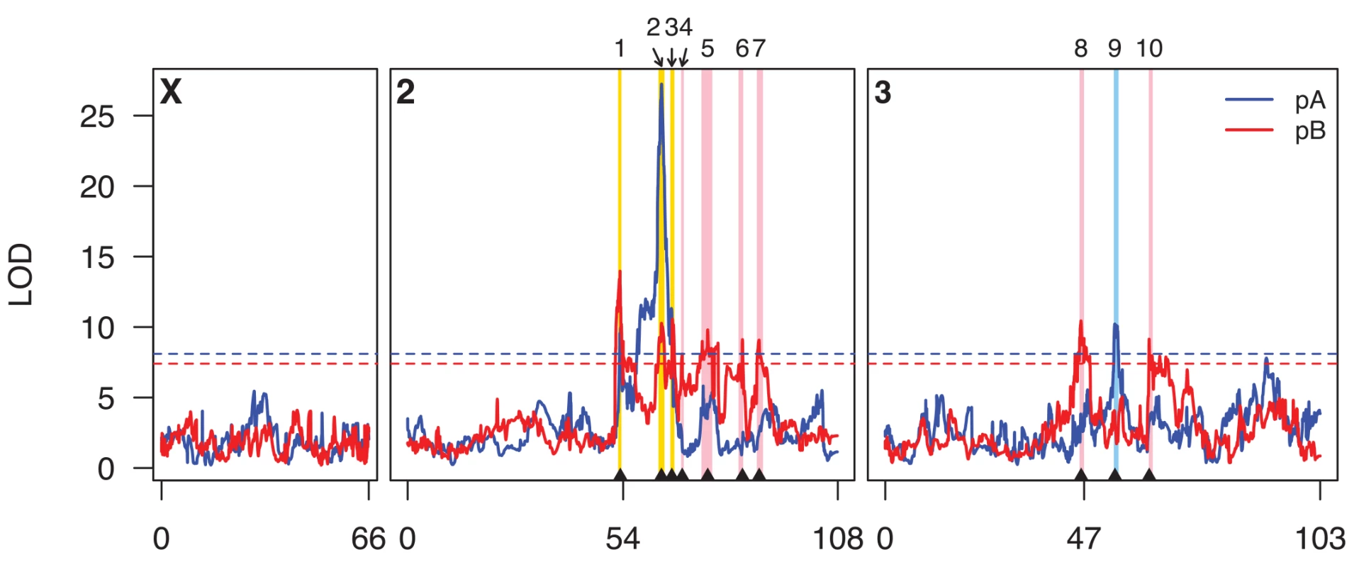 Genome scan for caffeine resistance QTL.