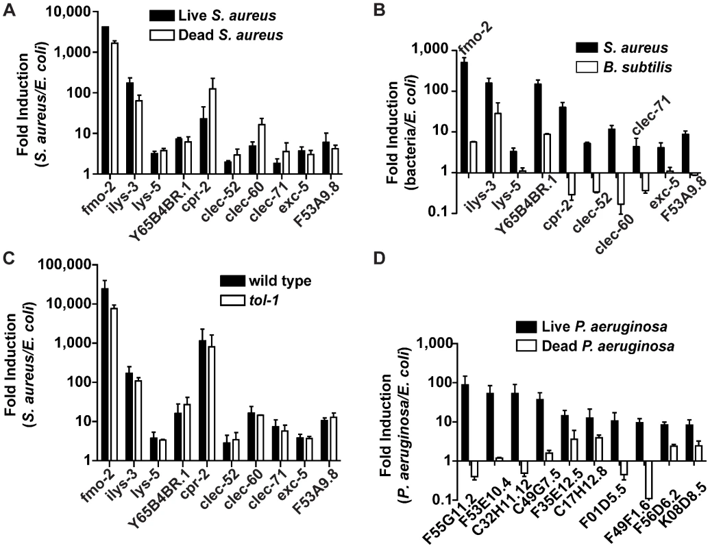 Potential PAMP-mediated, TLR-independent sensing of <i>S. aureus</i>.