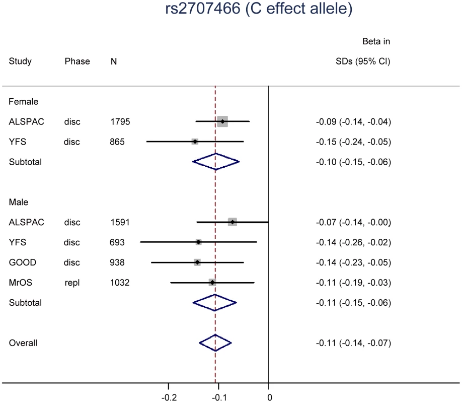 The genome-wide meta-analysis with cortical thickness according to sex.