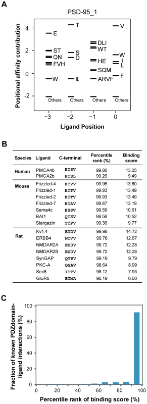 Validation of PWMs on <i>in vivo</i> partners.