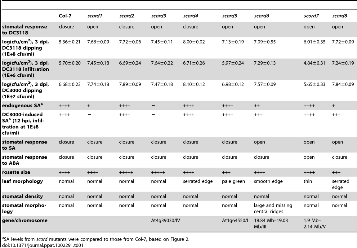 Phenotype summary of <i>scord</i> mutants.