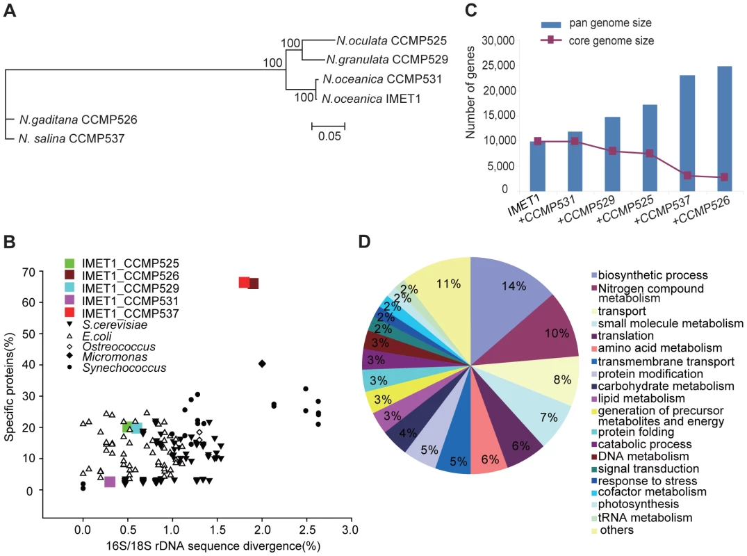 Structural features of the six <i>Nannochloropsis</i> genomes.