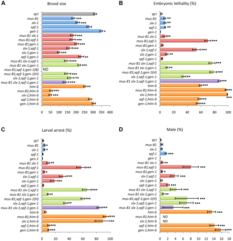 Plate phenotypes of structure-specific endonuclease mutants.