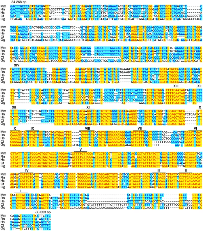 OLEa contains multiple evolutionary conserved putative Sox10 binding sites.
