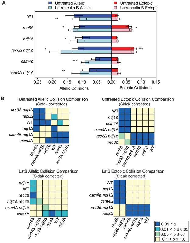 Elevated levels of nonspecific collisions in <i>rec8</i>Δ do not require Ndj1-dependent telomere attachments to the NE.