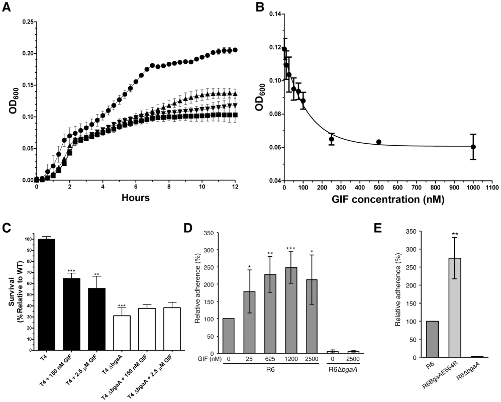 Inhibition of <i>S. pneumoniae</i> BgaA.