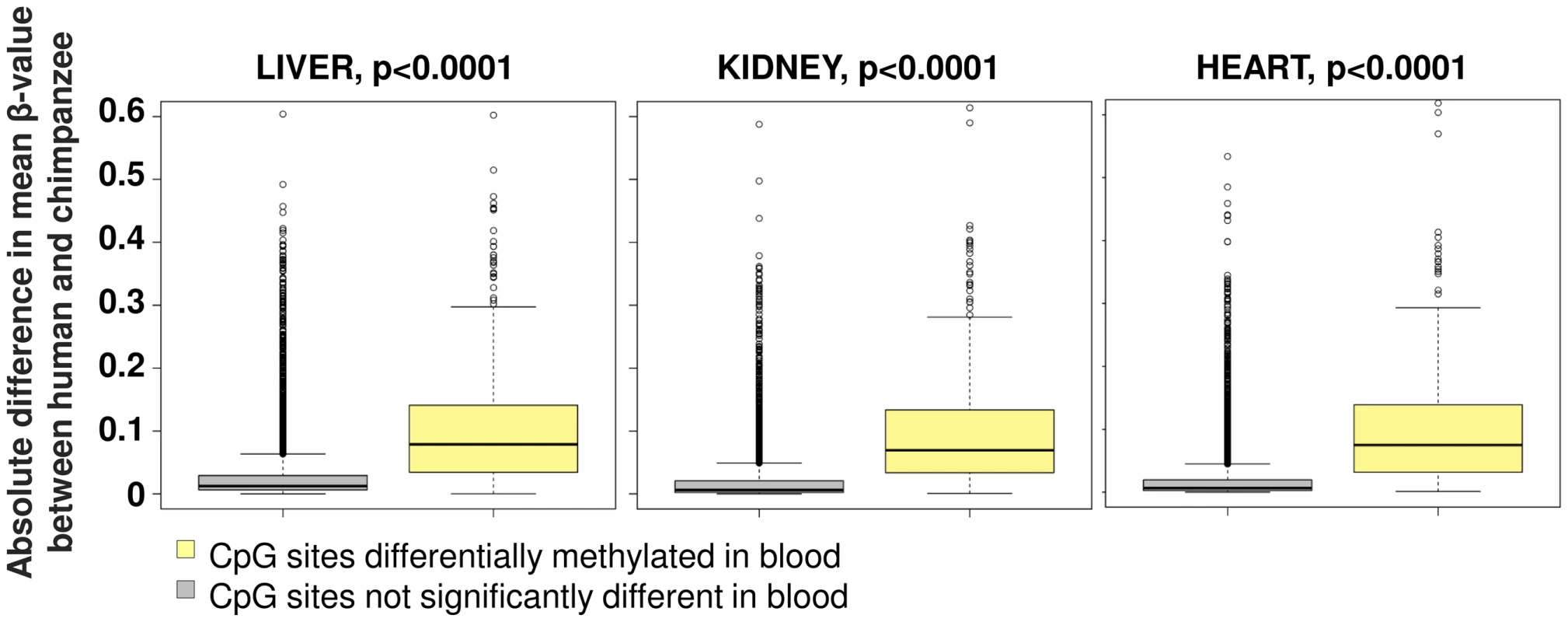 Conservation of human-chimpanzee differentially methylated sites among multiple somatic tissues.