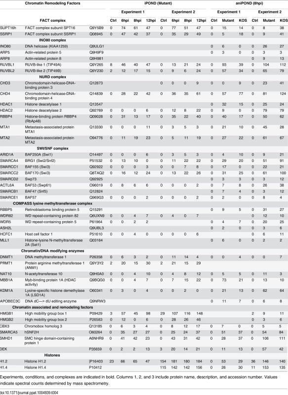 Chromatin remodeling factors and histones identified by iPOND and aniPOND.