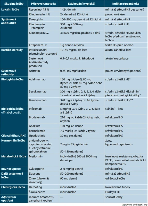 Přehled terapeutických možností léčby hidradenitis suppurativa 
