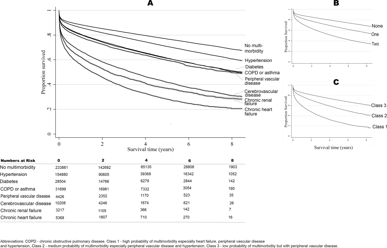 Long-term survival according to multimorbidity phenotype.