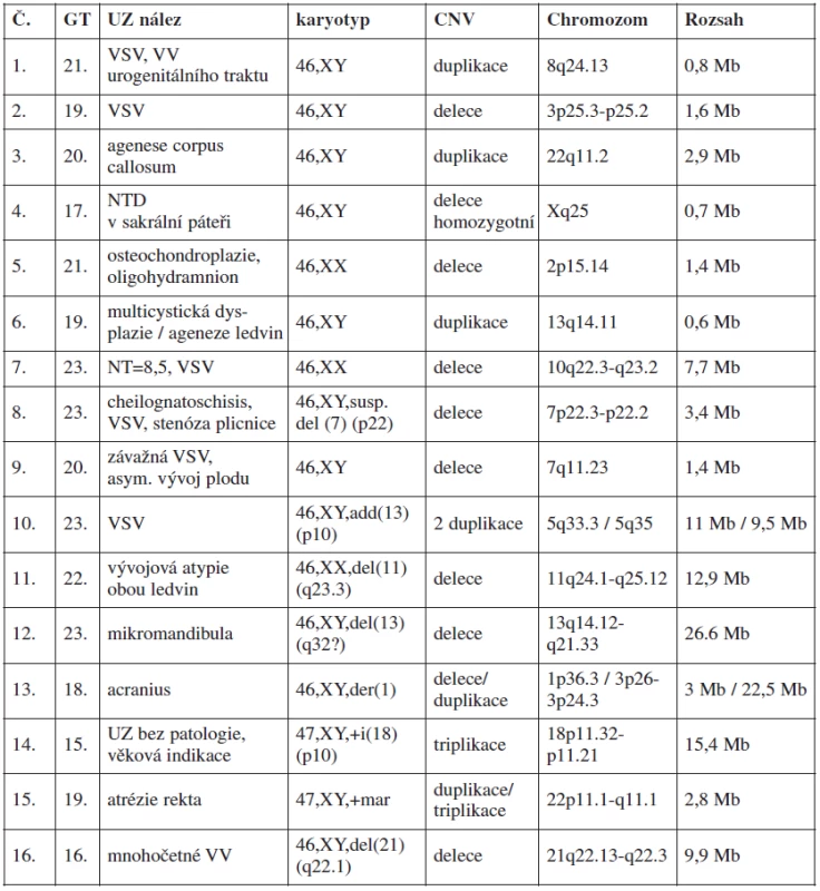 Přehled klinicky významných nálezů u plodů s ultrazvukovými anomáliemi v 1. nebo 2. trimestru