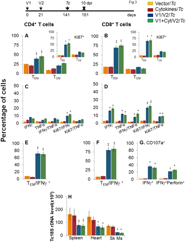 Recall of the D/P vaccine elicited, long-lived T cells after challenge infection with <i>T</i>. <i>cruzi</i>.