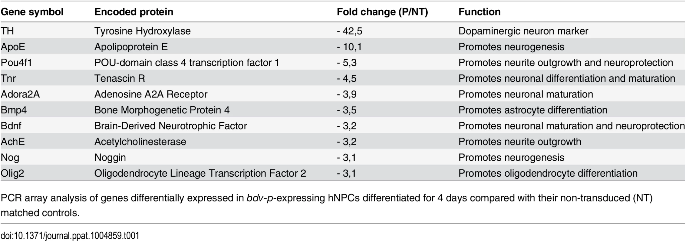 Genes modulated in <i>bdv-p</i>-expressing hNPCs.