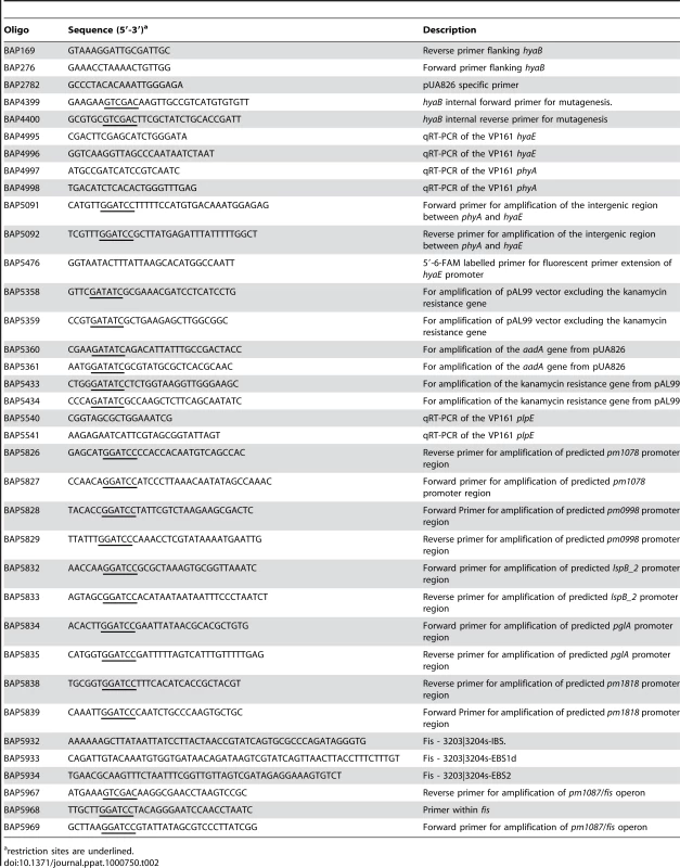 Oligonucleotides used in this study.