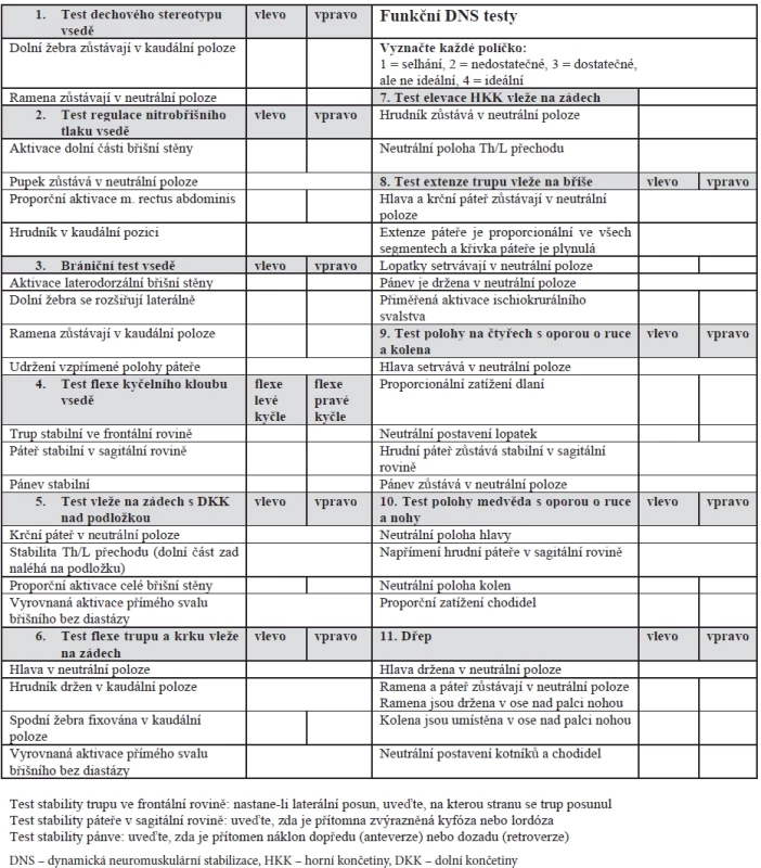 Vyšetřovací DNS protokol v českém jazyce. Fig. 1. DNS assessment sheet in the Czech language.