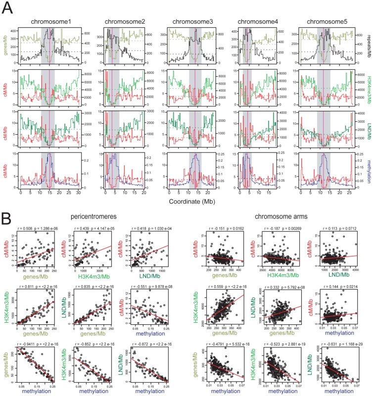 Epigenomic organisation and CO frequency in the <i>A. thaliana</i> genome.