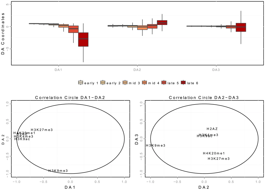 Spatial interaction of K562 replication origins with chromatin marks in discriminant analysis.